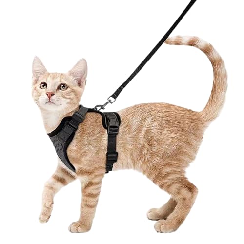 Katzengeschirr mit Leine Schwarz Softgeschirr für Katze Brustgeschirr Cat Harness Katzengarnitur ausbruchsicher verstellbar Katzenweste Schwarz XS von Generic