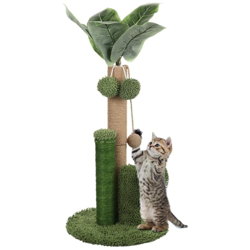 Katzenkratzbaum Plüsch Sisal Kratzbaum mit Kaktus Design und baumelnden Spielzeugen, Indoor Kratzbaum für Kätzchen und Katzen Katzenkratzbaum Plüsch Sisal Kratzbaum mit Kaktus Design und baumelnden Spielzeugen, Indoor Kratzbaum für Kätzchen und Katzen von Generic