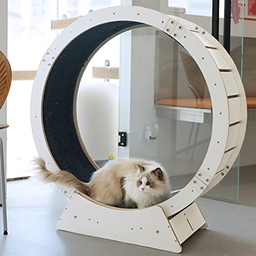 Katzenlaufrad, Anti-Klemm-Super-Lasttragendes Katzenlaufband, Katzenübungsrad zur Gewichtsreduktion, dreht Sich leise und sanft, Hamsterrad, Katzenkratzbaumturm (Größe: mittlerer Durchmesser Katzenlaufrad, Anti-Klemm-Super-Lasttragendes Katzenlaufband, Katzenübungsrad zur Gewichtsreduktion, dreht Sich leise und sanft, Hamsterrad, Katzenkratzbaumturm (Größe: mittlerer Durchmesser von Generic