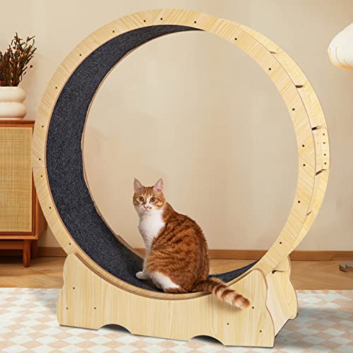 Katzenlaufrad, Holzmaserung, Katzenlaufband, leise und lückenlos, Sicherheits-Katzenlaufrad mit runden Ecken für den Innenbereich, mit Feststellvorrichtung und abnehmbarem Teppich, einfach z von Generic
