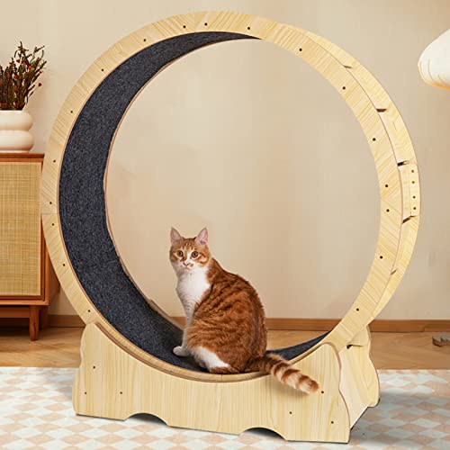 Katzenlaufrad, Holzmaserung, Katzenlaufband, leise und lückenlos, Sicherheits-Katzenlaufrad mit runden Ecken für den Innenbereich, mit Feststellvorrichtung und abnehmbarem Teppich, einfach z Katzenlaufrad, Holzmaserung, Katzenlaufband, leise und lückenlos, Sicherheits-Katzenlaufrad mit runden Ecken für den Innenbereich, mit Feststellvorrichtung und abnehmbarem Teppich, einfach z von Generic