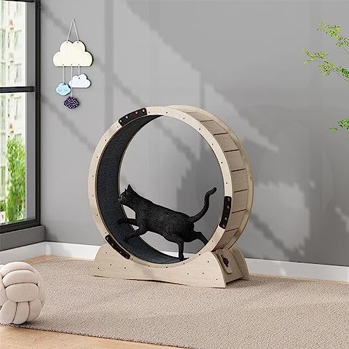 Katzenlaufrad, Katzenlaufband, Katzenlaufrad, Laufband, Katzenlaufrad für den Innenbereich, Katzenräder für Hauskatzen, einfach zu montierendes Katzenlaufband mit Verriegelungsmechanismus, e Katzenlaufrad, Katzenlaufband, Katzenlaufrad, Laufband, Katzenlaufrad für den Innenbereich, Katzenräder für Hauskatzen, einfach zu montierendes Katzenlaufband mit Verriegelungsmechanismus, e von Generic