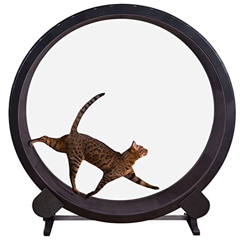 Katzenlaufrad, Katzenlaufband, Klettergerüst für Haustiere, Laufmaschine für Haustiere, leises Katzenlaufband, Laufspielzeug, für kleine/mittelgroße Hunde, Indoor-Übungen, reibungsloser frei von Generic