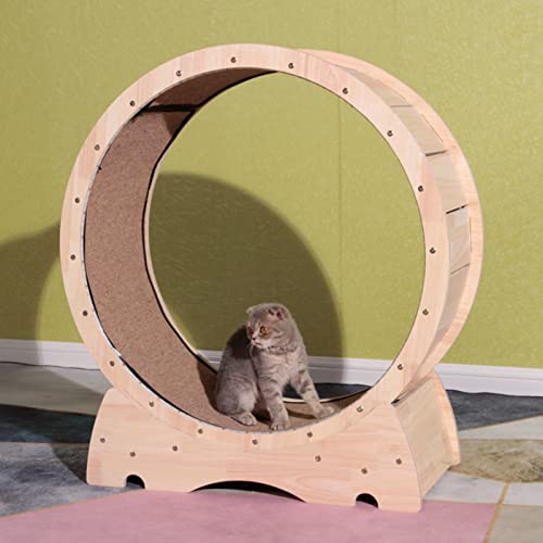 Katzenlaufrad, Katzenlaufband mit verfärbtem LED-Licht, Katzenübungsrad mit Sicherheitsverriegelung, Laufband zur Gewichtsreduktion für Katzenfitness, Lauf- und Kratzspaß Katzenlaufrad, Katzenlaufband mit verfärbtem LED-Licht, Katzenübungsrad mit Sicherheitsverriegelung, Laufband zur Gewichtsreduktion für Katzenfitness, Lauf- und Kratzspaß von Generic