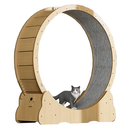 Katzenlaufrad, Katzenlaufrad für Hauskatzen, Kratzen, Spinnen, Ultimatives Katzenlaufrad, Riesenrad, bietet Katzen Bewegung – leise und geräuschlos (Größe: Innendurchmesser 90 cm/35,4 Zoll) von Generic