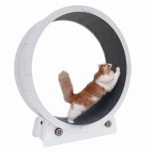 Katzenlaufrad, Katzenlaufrad für Hauskatzen, weißes Katzenlaufband/Katzenlaufrad, lückenloses Katzenlaufrad mit Sicherheitsverriegelung, einfache Montage Katzenlaufrad, Katzenlaufrad für Hauskatzen, weißes Katzenlaufband/Katzenlaufrad, lückenloses Katzenlaufrad mit Sicherheitsverriegelung, einfache Montage von Generic