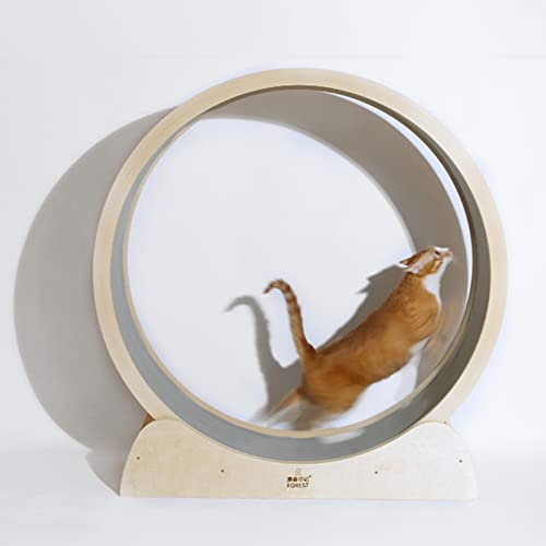 Katzenlaufrad, Katzenlaufrad mit kleinem Spalt, Katzenübungsrad, leises Katzenlaufband für längere Lebensdauer, Anti-Klemm-Laufrad, niedliches Katzenmöbel-Training (Größe: 80 cm (31 1/2 Zoll Katzenlaufrad, Katzenlaufrad mit kleinem Spalt, Katzenübungsrad, leises Katzenlaufband für längere Lebensdauer, Anti-Klemm-Laufrad, niedliches Katzenmöbel-Training (Größe: 80 cm (31 1/2 Zoll von Generic