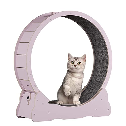 Katzenlaufrad, Laufrad für Katzen, Laufrad für Katzen, Katzenspielzeug mit Teppichboden, Kätzchenspielzeug für Übungen im Innenbereich, kleine/mittlere/große Katze (Größe: 110 x 36,5 x 115 c Katzenlaufrad, Laufrad für Katzen, Laufrad für Katzen, Katzenspielzeug mit Teppichboden, Kätzchenspielzeug für Übungen im Innenbereich, kleine/mittlere/große Katze (Größe: 110 x 36,5 x 115 c von Generic