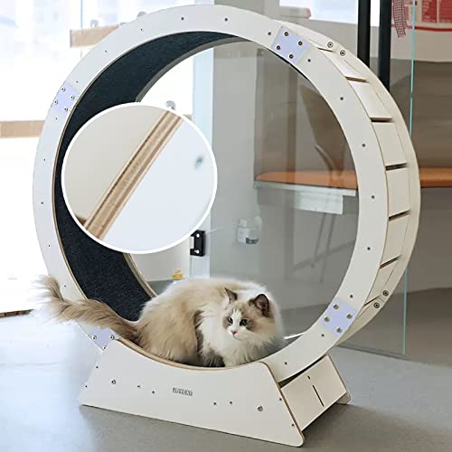 Katzenlaufrad, Massivholz-Katzenübungsrad – Interaktives Katzenspielzeug, Leises Katzenlaufband Mit Kleinen Lücken, Einklemmschutz, Leise Riemenscheiben, Weiß (Größe: Innendurchmesser 110 cm Katzenlaufrad, Massivholz-Katzenübungsrad – Interaktives Katzenspielzeug, Leises Katzenlaufband Mit Kleinen Lücken, Einklemmschutz, Leise Riemenscheiben, Weiß (Größe: Innendurchmesser 110 cm von Generic