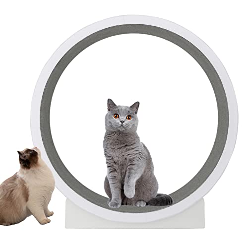 Katzenlaufrad, großes Katzenrad, Trainingsgerät für Katzen im Innenbereich, weißes Holz-Katzenlaufband mit kleinem Spalt, leises, rutschfestes Katzenkratzbrettspielzeug, 120 cm großes Spielz Katzenlaufrad, großes Katzenrad, Trainingsgerät für Katzen im Innenbereich, weißes Holz-Katzenlaufband mit kleinem Spalt, leises, rutschfestes Katzenkratzbrettspielzeug, 120 cm großes Spielz von Generic