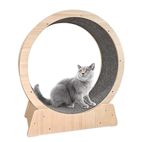Katzenlaufrad, haustierfreundliches Katzen-Übungsrad, Katzenlaufband mit austauschbarer Laufbahn, superbelastbares Hamsterrad für Katzen, Katzenkratzbaum, Katzenturm Katzenlaufrad, haustierfreundliches Katzen-Übungsrad, Katzenlaufband mit austauschbarer Laufbahn, superbelastbares Hamsterrad für Katzen, Katzenkratzbaum, Katzenturm von Generic
