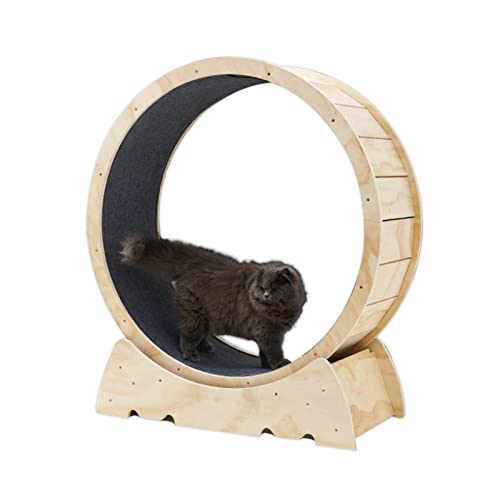 Katzenlaufrad, haustierfreundliches Katzenlaufband aus massivem Holz, dreht Sich leise und sanft, Katzenlaufrad, Katzenlaufrad, sehr einfache Montage, Spielzeug zum Abnehmen mit Energieübers Katzenlaufrad, haustierfreundliches Katzenlaufband aus massivem Holz, dreht Sich leise und sanft, Katzenlaufrad, Katzenlaufrad, sehr einfache Montage, Spielzeug zum Abnehmen mit Energieübers von Generic