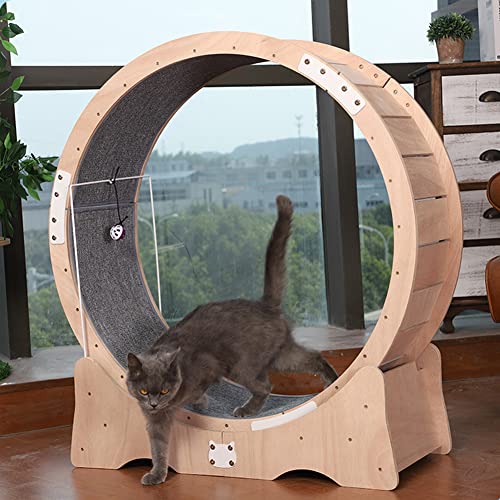 Katzenlaufrad 39,37 Zoll großes Katzenlaufrad, Katzenlaufrad mit Glockenspielzeugdesign, Fitness-Gewichtsverlustgerät, Verriegelungsmechanismus, Teppichlaufbahn, Haustierspielzeug,A Katzenlaufrad 39,37 Zoll großes Katzenlaufrad, Katzenlaufrad mit Glockenspielzeugdesign, Fitness-Gewichtsverlustgerät, Verriegelungsmechanismus, Teppichlaufbahn, Haustierspielzeug,A von Generic