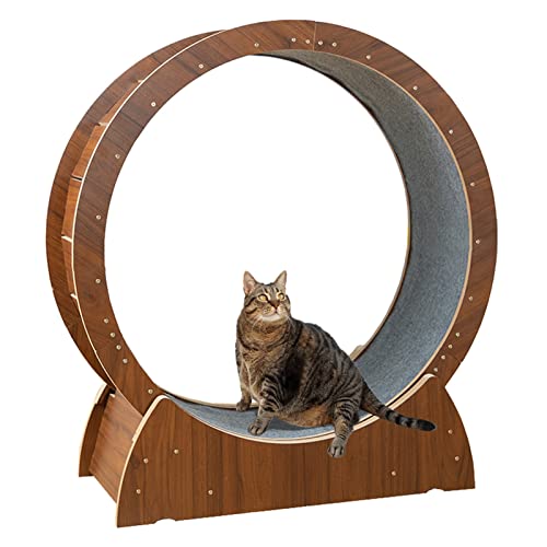 Katzenlaufrad Braunes Katzenlaufband für Hauskatzen, leises Katzenlaufrad mit Brems-Anti-Klemm-Design, Katzenkratzbrett 68/78/88/98 cm (Größe: M-Innendurchmesser 78 cm (30 3/4")) von Generic