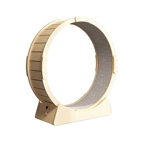 Katzenlaufrad Durchmesser 44,5 "Katzenrad, Haustierspielzeug-Katzenübungsrad, Katzenlaufband Für Hauskatzen, Mit Verriegelungsmechanismus, Einfach Zu Montieren Katzenlaufrad Durchmesser 44,5 "Katzenrad, Haustierspielzeug-Katzenübungsrad, Katzenlaufband Für Hauskatzen, Mit Verriegelungsmechanismus, Einfach Zu Montieren von Generic