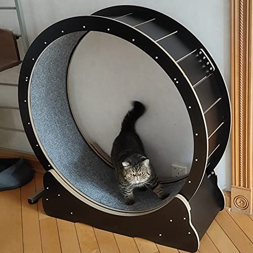 Katzenlaufrad Hochleistungs-Katzenrad-Übungslaufband, Schwarz Leises kleines mittelgroßes Katzenlaufbandspielzeug/Katzenkratzbrett, 80/90/100 cm, einfache Montage (Größe: L-Innendurchmesser Katzenlaufrad Hochleistungs-Katzenrad-Übungslaufband, Schwarz Leises kleines mittelgroßes Katzenlaufbandspielzeug/Katzenkratzbrett, 80/90/100 cm, einfache Montage (Größe: L-Innendurchmesser von Generic