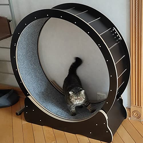 Katzenlaufrad Hochleistungs-Katzenrad-Übungslaufband, Schwarz Leises kleines mittelgroßes Katzenlaufbandspielzeug/Katzenkratzbrett, 80/90/100 cm, einfache Montage (Größe: L-Innendurchmesser von Generic