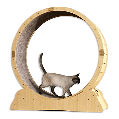 Katzenlaufrad Hölzernes Katzenübungs-Riesenrad, haustierfreundliches Katzenlaufband mit austauschbarer Startbahn, Indoor-Katzenlaufrad mit Schloss, kleinem Spalt und leisen Riemenscheiben (G Katzenlaufrad Hölzernes Katzenübungs-Riesenrad, haustierfreundliches Katzenlaufband mit austauschbarer Startbahn, Indoor-Katzenlaufrad mit Schloss, kleinem Spalt und leisen Riemenscheiben (G von Generic