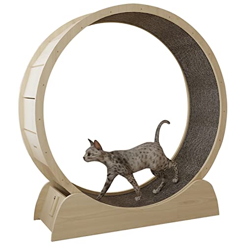 Katzenlaufrad Indoor Anti-Pinch-Katzenübungsrad - 80/90/100 cm Durchmesser, mit Sisal überzogene runde Katzenlaufräder/Hamsterrad mit Feststellvorrichtung (Größe: M-90 cm (35,4 Zoll)) von Generic