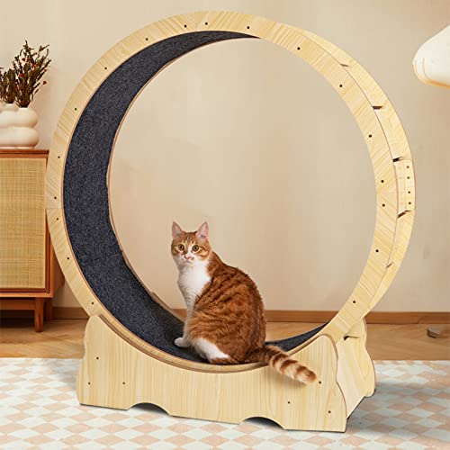 Katzenlaufrad Indoor-Katzen-Gewichtsverlust-Katzenlaufband, haustierfreundliches Massivholz-Katzenlaufrad, Katzenübungsrad mit Sicherheitsschloss, austauschbare Start- und Landebahn (Größe: Katzenlaufrad Indoor-Katzen-Gewichtsverlust-Katzenlaufband, haustierfreundliches Massivholz-Katzenlaufrad, Katzenübungsrad mit Sicherheitsschloss, austauschbare Start- und Landebahn (Größe: von Generic
