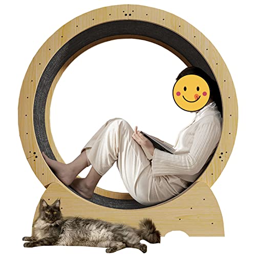 Katzenlaufrad Indoor-Katzenübungsrad, lückenloses Anti-Klemm-Katzenlaufrad, interaktives Übungsspielzeug in Holzfarbe für Katzen, mit Sicherheitsschloss (Größe: Innendurchmesser 80 cm/31,5 Z von Generic