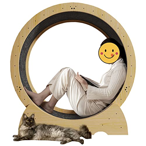 Katzenlaufrad Indoor-Katzenübungsrad, lückenloses Anti-Klemm-Katzenlaufrad, interaktives Übungsspielzeug in Holzfarbe für Katzen, mit Sicherheitsschloss (Größe: Innendurchmesser 80 cm/31,5 Z Katzenlaufrad Indoor-Katzenübungsrad, lückenloses Anti-Klemm-Katzenlaufrad, interaktives Übungsspielzeug in Holzfarbe für Katzen, mit Sicherheitsschloss (Größe: Innendurchmesser 80 cm/31,5 Z von Generic