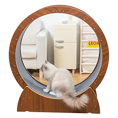Katzenlaufrad Indoor-Katzenübungsrad Laufband, braunes Katzenlaufrad für kleine/mittlere/große Katzen, Katzenriesenrad Anti-Klemm-Haustierkatzenspielzeug (Größe: 100 cm/39,4 Zoll) von Generic