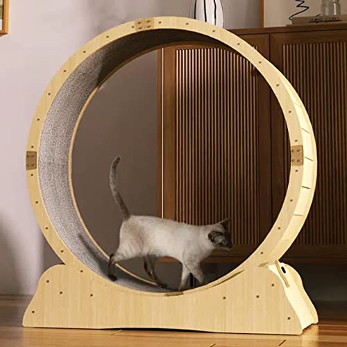 Katzenlaufrad Indoor-Katzenübungsrad Laufband für kleine/große Katzen, Katzenlaufrad mit winziger Lücke und Schloss, haustierfreundliches Katzenriesenrad/Haustierspielzeug (Größe: 100 cm/39, Katzenlaufrad Indoor-Katzenübungsrad Laufband für kleine/große Katzen, Katzenlaufrad mit winziger Lücke und Schloss, haustierfreundliches Katzenriesenrad/Haustierspielzeug (Größe: 100 cm/39, von Generic
