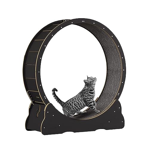 Katzenlaufrad Katzen-Übungsrad, Haustier-Katzenlaufband for Hauskatzen, Katzenlaufrad Mit Teppichboden, Leises Katzenaktivitätsspielzeug, Einfach Zu Montieren (Color : Black, Size : XL 100x36.5x115c Katzenlaufrad Katzen-Übungsrad, Haustier-Katzenlaufband for Hauskatzen, Katzenlaufrad Mit Teppichboden, Leises Katzenaktivitätsspielzeug, Einfach Zu Montieren (Color : Black, Size : XL 100x36.5x115c von Generic