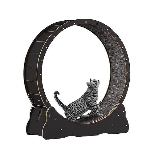 Katzenlaufrad Katzen-Übungsrad, Haustier-Katzenlaufband for Hauskatzen, Katzenlaufrad Mit Teppichboden, Leises Katzenaktivitätsspielzeug, Einfach Zu Montieren (Color : Black, Size : XL 100x36.5x115c von Generic