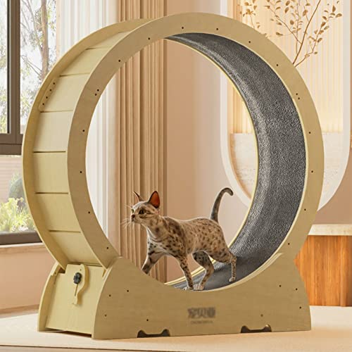 Katzenlaufrad Katzenkreis-Laufband für Hauskatzen, natürliches, leises Katzenlaufrad zum drehenden Nickerchen, Anti-Klemm-Haustier-Riesenrad, reibungsloser freier Lauf (Größe: 100 cm (39 3/8 von Generic