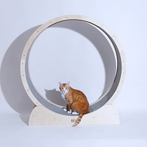 Katzenlaufrad Katzenlaufband Leises Katzenübungsrad für Hauskatzen, Katzenlaufrad zur Gewichtsreduktion, verschleißfestes Katzenlaufrad für kleine/mittlere/große Haustiere (Größe: 100 cm (39 Katzenlaufrad Katzenlaufband Leises Katzenübungsrad für Hauskatzen, Katzenlaufrad zur Gewichtsreduktion, verschleißfestes Katzenlaufrad für kleine/mittlere/große Haustiere (Größe: 100 cm (39 von Generic