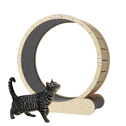 Katzenlaufrad Katzenlaufrad, Katzenlaufband, Übungsrad, Verriegelungsmechanismus, leise und geräuschlose TPE-Rollen, niedliches Katzenmöbel-Katzen-Trainingsspiel,L Katzenlaufrad Katzenlaufrad, Katzenlaufband, Übungsrad, Verriegelungsmechanismus, leise und geräuschlose TPE-Rollen, niedliches Katzenmöbel-Katzen-Trainingsspiel,L von Generic