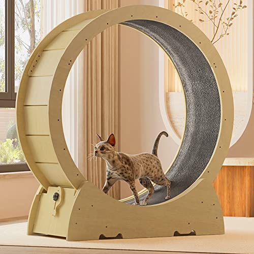 Katzenlaufrad Katzenlaufrad, Katzenübungsrad Indoor-Laufband mit Teppich-Katzenlaufbahn, Sicherheitsverriegelungsvorrichtung, für alle Katzen und kleine Hunde,L Katzenlaufrad Katzenlaufrad, Katzenübungsrad Indoor-Laufband mit Teppich-Katzenlaufbahn, Sicherheitsverriegelungsvorrichtung, für alle Katzen und kleine Hunde,L von Generic