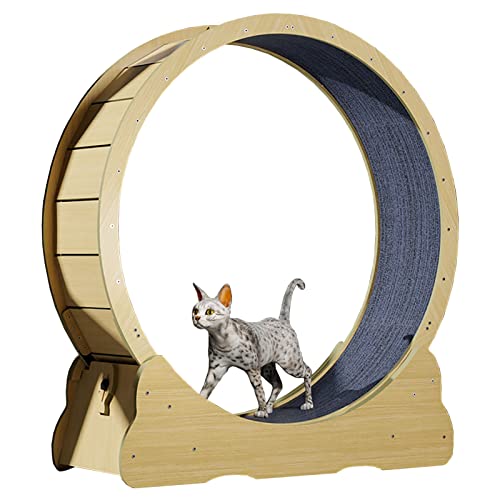 Katzenlaufrad Katzenlaufrad/Katzenlaufband mit Teppichboden, Katzenspielzeug-Übungsrad/interaktives Katzenspielzeug – reduziert Langeweile, natürliche Holzfarbe (Größe: Innendurchmesser 80 c von Generic