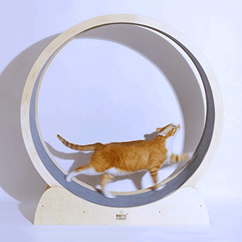 Katzenlaufrad Katzenlaufrad-Trainingsgerät für Hauskatzen, kleines, mittelgroßes, leises Katzenlaufrad/Laufbandspielzeug, Kätzchen-Kratzbrett 80/90/100 cm (Größe: M-Innendurchmesser 90 cm (3 von Generic