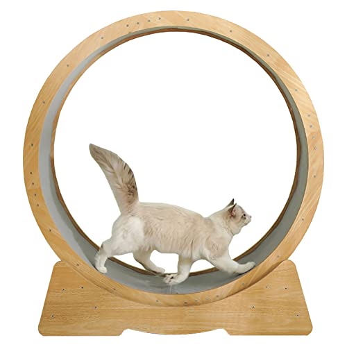 Katzenlaufrad Katzenlaufrad-Trainingsgerät für Hauskatzen Großes, geräuscharmes, Sich drehendes Katzenlaufband, holzfarbenes Kätzchenspielzeug, mit Bremse (Größe: Innendurchmesser 79 cm (31, Katzenlaufrad Katzenlaufrad-Trainingsgerät für Hauskatzen Großes, geräuscharmes, Sich drehendes Katzenlaufband, holzfarbenes Kätzchenspielzeug, mit Bremse (Größe: Innendurchmesser 79 cm (31, von Generic