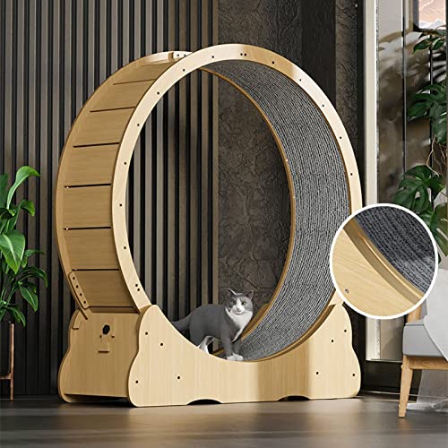 Katzenlaufrad Katzenlaufrad-Übungsgerät für Hauskatzen, Katzenlaufband für Katzen mit Teppichboden, Katzenlaufrad Katzensportspielzeug für alle Katzen (Farbe: Holz, Größe: Innendurchmesser 9 Katzenlaufrad Katzenlaufrad-Übungsgerät für Hauskatzen, Katzenlaufband für Katzen mit Teppichboden, Katzenlaufrad Katzensportspielzeug für alle Katzen (Farbe: Holz, Größe: Innendurchmesser 9 von Generic