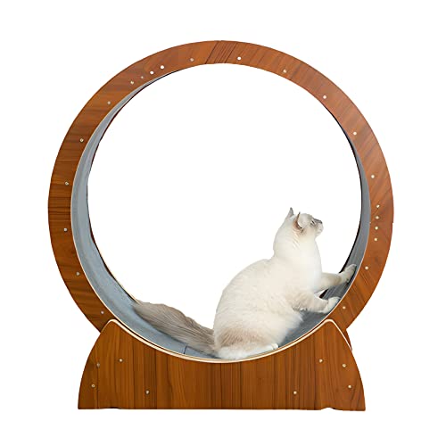 Katzenlaufrad Katzenlaufrad-Übungsgerät für Hauskatzen, großes Katzenlaufrad, Katzenlaufbandrad mit austauschbaren Greifpolstern, Verriegelungsmechanismus, für alle Katzen (Größe: XL) von Generic
