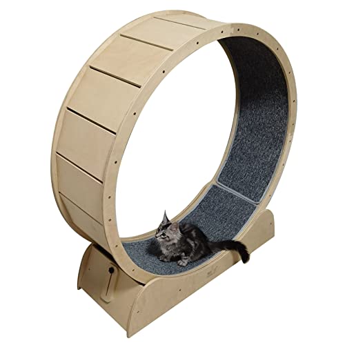 Katzenlaufrad Katzenübungs-Riesenrad aus Holz, haustierfreundliches Katzenlaufband, Katzenlaufrad mit winziger Lücke für Hauskatzen, kleines/mittleres/großes Haustierspielzeug (Größe: 100 cm Katzenlaufrad Katzenübungs-Riesenrad aus Holz, haustierfreundliches Katzenlaufband, Katzenlaufrad mit winziger Lücke für Hauskatzen, kleines/mittleres/großes Haustierspielzeug (Größe: 100 cm von Generic