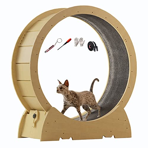 Katzenlaufrad Katzenübungsrad für Hauskatzen, Katzenübungsrad mit austauschbaren Greifpolstern, geräuscharme Katzen mit Sicherheitsverriegelung (Größe: Innendurchmesser 80 cm (31,5 Zoll)) von Generic