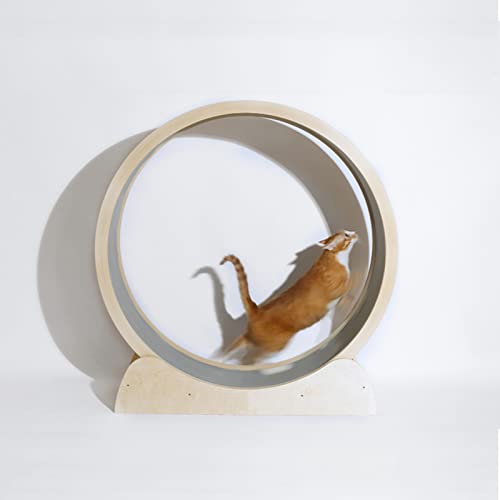 Katzenlaufrad Katzenübungsrad für die Gesundheit der Katze, Katzenlaufband aus massivem Holz mit Sicherheitsschloss, sehr einfach zu montierendes Hamsterrad, Katzenkratzbaum, Katzenturm (Grö Katzenlaufrad Katzenübungsrad für die Gesundheit der Katze, Katzenlaufband aus massivem Holz mit Sicherheitsschloss, sehr einfach zu montierendes Hamsterrad, Katzenkratzbaum, Katzenturm (Grö von Generic