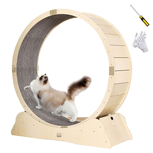 Katzenlaufrad Katzenübungsrad mit Teppichboden, Laufband-Riesenrad für kleine/mittlere Haustierspielzeuge, Robustes Katzenklettergerüst mit Kratzbrett (Größe: 100 cm (39 3/8 Zoll)) von Generic