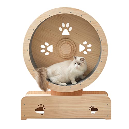 Katzenlaufrad Riesenrad für Katzen im Innenbereich, Katzenlaufband mit austauschbarem Kratzbaum, drehende Räder am Katzenturm, dreht Sich leise und reibungslos Katzenlaufrad Riesenrad für Katzen im Innenbereich, Katzenlaufband mit austauschbarem Kratzbaum, drehende Räder am Katzenturm, dreht Sich leise und reibungslos von Generic