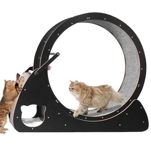 Katzenlaufrad für Wohnungskatzen, großes Laufrad mit sicherer Bremse und mit Teppich ausgelegter Laufbahn, leises Laufband zum Laufen, Drehen, Kratzen und Klettern für Katzen von Generic