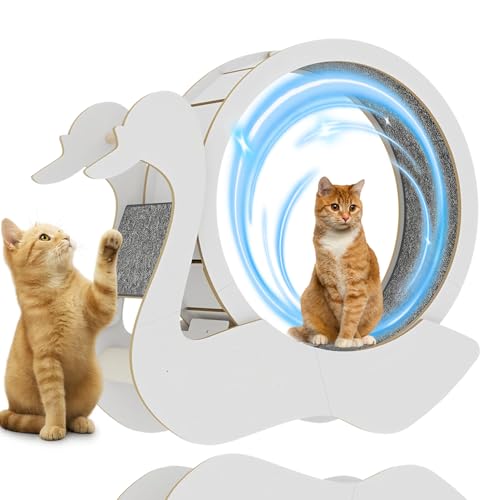 Katzenlaufrad für Wohnungskatzen mit Kletterleitern, Kratzbrett-Verriegelungsmechanismus, geräuscharmes Katzenlaufrad für die Gesundheit und Fitness von Haustieren, Katzenlaufband-Trainingsgerät Katzenlaufrad für Wohnungskatzen mit Kletterleitern, Kratzbrett-Verriegelungsmechanismus, geräuscharmes Katzenlaufrad für die Gesundheit und Fitness von Haustieren, Katzenlaufband-Trainingsgerät von Generic