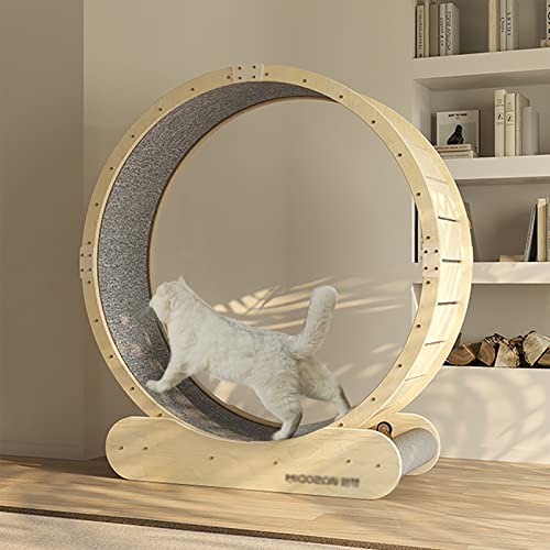 Katzenlaufrad für den Innenbereich, Laufband für Katzen mit kleinem Abstand, Katzenradübung für die Gesundheit der Katze, leise Katzenlaufmaschine, Anti-Klemm-Möbel, energiegeladene Katze (G Katzenlaufrad für den Innenbereich, Laufband für Katzen mit kleinem Abstand, Katzenradübung für die Gesundheit der Katze, leise Katzenlaufmaschine, Anti-Klemm-Möbel, energiegeladene Katze (G von Generic