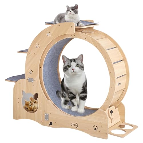 Katzenlaufrad mit abnehmbarem Teppich, Kletterleitern und Näpfen zum Laufen/Drehen/Trainieren Katzenlaufband für den Innenbereich von Generic