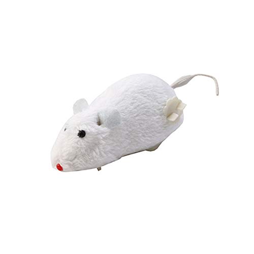 Katzenspielzeug Mäuse Für Katze, Haustier, Uhrwerkzubehör, Spielzeugsteuerung, Maus, Haustier, Hund, laufende Ratte, Haustier, andere er Teaser (Random, One Size) von Generic