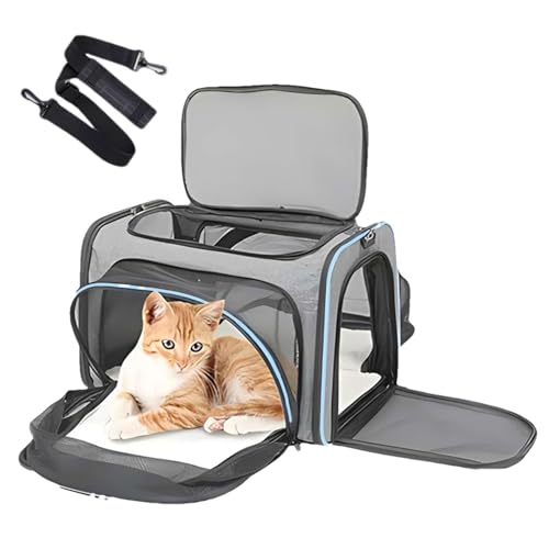 Katzentragetasche – Faltbare erweiterte Haustiertasche aus Polyester, atmungsaktive Katzentaschen | Bequeme, langlebige Unterlage für Haustiere, Zuhause und Reisen, Handgriff-Ainmls-Pads, 40,6 x 25,4 Katzentragetasche – Faltbare erweiterte Haustiertasche aus Polyester, atmungsaktive Katzentaschen | Bequeme, langlebige Unterlage für Haustiere, Zuhause und Reisen, Handgriff-Ainmls-Pads, 40,6 x 25,4 von Generic
